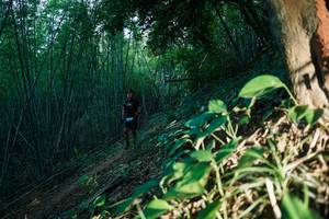 BIB: 
                            <button type="button" onclick="openModal(28124152)" class="btn btn-primary btn-sm float-right btn-popup" data-toggle="modal" data-target=".modal-high-quality">
                        <i class="fas fa-shopping-cart"></i> Add to Cart
                    </button>
                                            <button type="button" onclick="isThisMe(28124152, true)" class="btn btn-success btn-sm float-right btn-popup btn-isme hidden" data-toggle="tooltip" data-placement="bottom" title="นี่คือรูปของคุณใช่ไหม คลิกที่นี่เพื่อเอาเข้าอัลบั้ม">
                        <i class="fas fa-plus"></i> Add to album
                    </button>
                    <button type="button" onclick="isThisMe(28124152, false)" class="btn btn-warning btn-sm float-right btn-popup btn-isnotme hidden">
                        <i class="fas fa-ban"></i> Remove from album
                    </button>